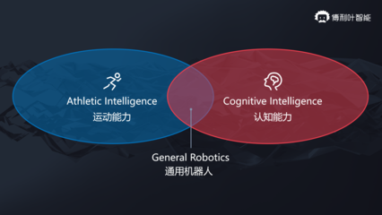 傅利叶智能 以AI基础软件为引擎，驱动通用人形机器人战略新篇章